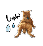hknの日常 (文字あり)（個別スタンプ：24）