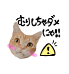 hknの日常 (文字あり)（個別スタンプ：27）