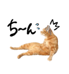 hknの日常 (文字あり)（個別スタンプ：30）