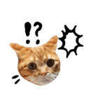 hknの日常 (文字あり)（個別スタンプ：32）