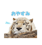 群馬サファリパーク 公式スタンプvol.02（個別スタンプ：4）
