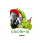 群馬サファリパーク 公式スタンプvol.02（個別スタンプ：17）
