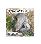 群馬サファリパーク 公式スタンプvol.02（個別スタンプ：18）