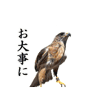 群馬サファリパーク 公式スタンプvol.02（個別スタンプ：19）