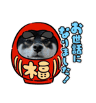 くろしばfuku（個別スタンプ：24）