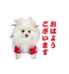 マダム洋子の愛犬ペコちゃん（個別スタンプ：2）