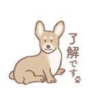 Dogs まったり Brown_1（個別スタンプ：11）