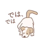 Dogs まったり Brown_1（個別スタンプ：14）