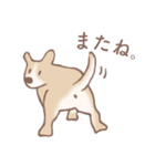 Dogs まったり Brown_1（個別スタンプ：15）