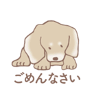 Dogs まったり Brown_1（個別スタンプ：18）