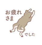 Dogs まったり Brown_1（個別スタンプ：19）