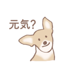 Dogs まったり Brown_1（個別スタンプ：21）