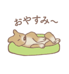 Dogs まったり Brown_1（個別スタンプ：30）