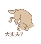 Dogs まったり Brown_1（個別スタンプ：33）