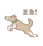 Dogs まったり Brown_1（個別スタンプ：34）