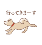 Dogs まったり Brown_1（個別スタンプ：35）