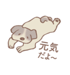 Dogs まったり Brown_1（個別スタンプ：37）