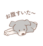 Dogs まったり Brown_1（個別スタンプ：38）