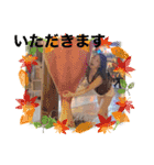 さっちなのだドバイ版（個別スタンプ：6）