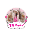 さっちなのだドバイ版（個別スタンプ：15）