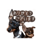 Uka＆Towa（個別スタンプ：4）