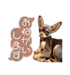 Uka＆Towa（個別スタンプ：10）