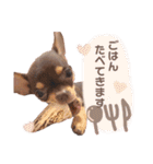 Uka＆Towa（個別スタンプ：13）