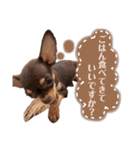 Uka＆Towa（個別スタンプ：14）