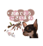 Uka＆Towa（個別スタンプ：21）