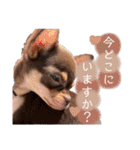 Uka＆Towa（個別スタンプ：22）