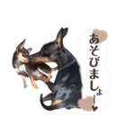 Uka＆Towa（個別スタンプ：25）