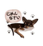 Uka＆Towa（個別スタンプ：27）