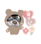 Uka＆Towa（個別スタンプ：30）