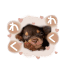 Uka＆Towa（個別スタンプ：32）