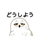 フクロウさんは動けない（個別スタンプ：4）