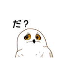 フクロウさんは動けない（個別スタンプ：12）