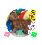 ねこまーち しあわせレッド三男くん（個別スタンプ：8）