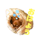 チョコちゃんスタンプ♡*(日常系)（個別スタンプ：2）