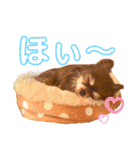 チョコちゃんスタンプ♡*(日常系)（個別スタンプ：18）