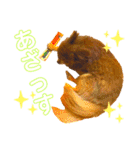 チョコちゃんスタンプ♡*(日常系)（個別スタンプ：30）