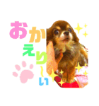 チョコちゃんスタンプ♡*(日常系)（個別スタンプ：33）