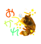 チョコちゃんスタンプ♡*(日常系)（個別スタンプ：37）