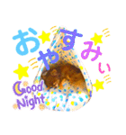 チョコちゃんスタンプ♡*(日常系)（個別スタンプ：39）
