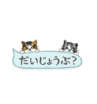 ねこつぶ ～省スペース～ 【修正版】（個別スタンプ：9）