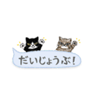 ねこつぶ ～省スペース～ 【修正版】（個別スタンプ：11）