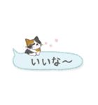 ねこつぶ ～省スペース～ 【修正版】（個別スタンプ：16）