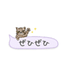 ねこつぶ ～省スペース～ 【修正版】（個別スタンプ：19）