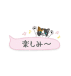 ねこつぶ ～省スペース～ 【修正版】（個別スタンプ：24）