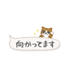 ねこつぶ ～省スペース～ 【修正版】（個別スタンプ：35）