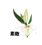 美しいお花たち（個別スタンプ：1）